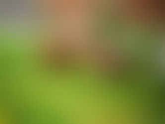 4 new arrivals at our Beaver Lane Residential Home in Ashford!!