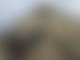 An incredible day exploring magic....