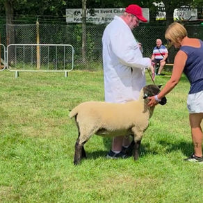 A huge thank you to Briony at Mount Lodge Care Farm and Swan Farm....