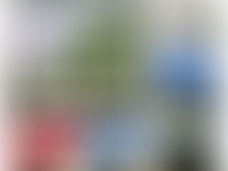 A day trip to Whitstable Castle for our Wayfield Road residents....