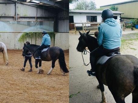 A fabulous day out with the horses....