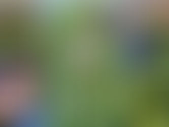 Happy gardening Beaver Lane!