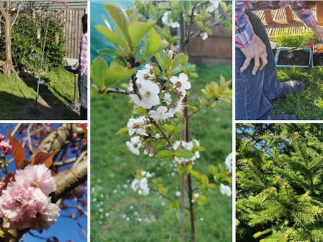 Happy gardening Beaver Lane!