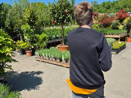 A stroll through beautiful gardens....
