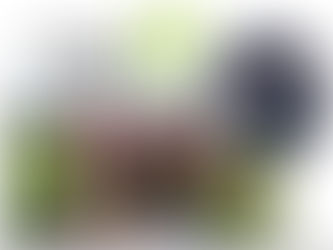 A big thank you to The Canterbury Christ Church University C4 Athletics Team