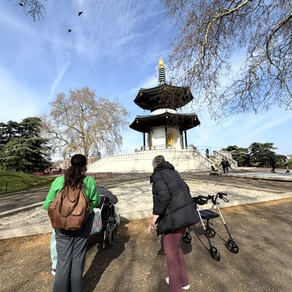 The inspiring London Peace Pagoda....enjoying the start of spring