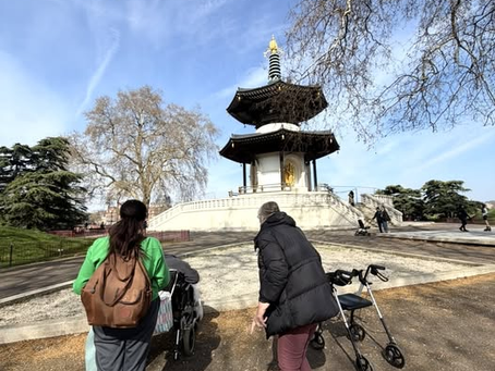 The inspiring London Peace Pagoda....enjoying the start of spring