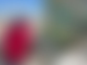 Beaver Lane day trip out!