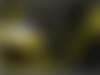 Terbaru, Panderman, Safety Shoes Super Nyaman dari Track Raktayoo