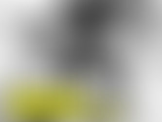 Model Sepatu Safety Menurut Standar Nasional Indonesia