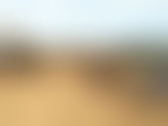 12 Tol Baru Hadir di Masa Pandemi 2021