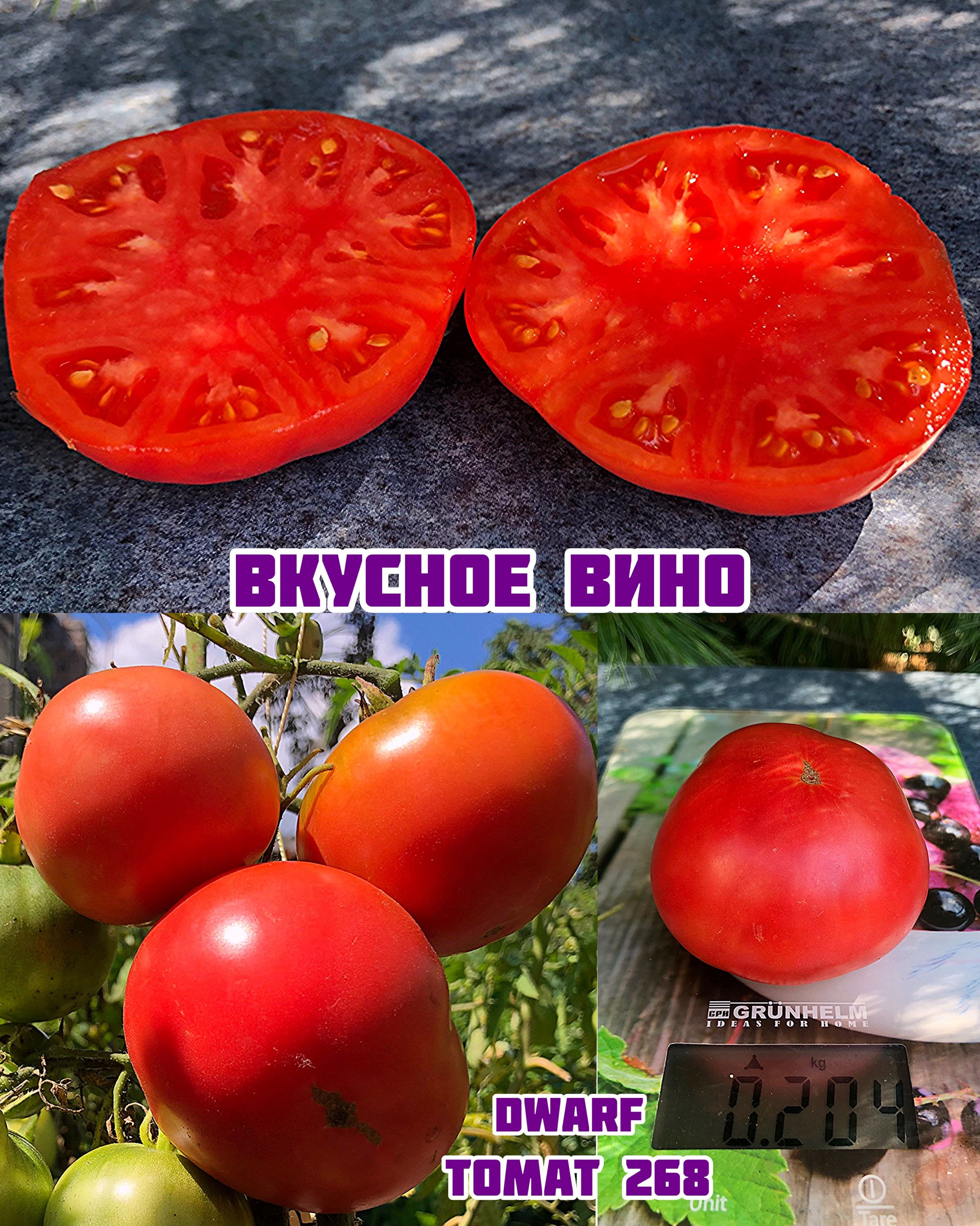 «Вкусное вино»Dwarf Tasty Wine