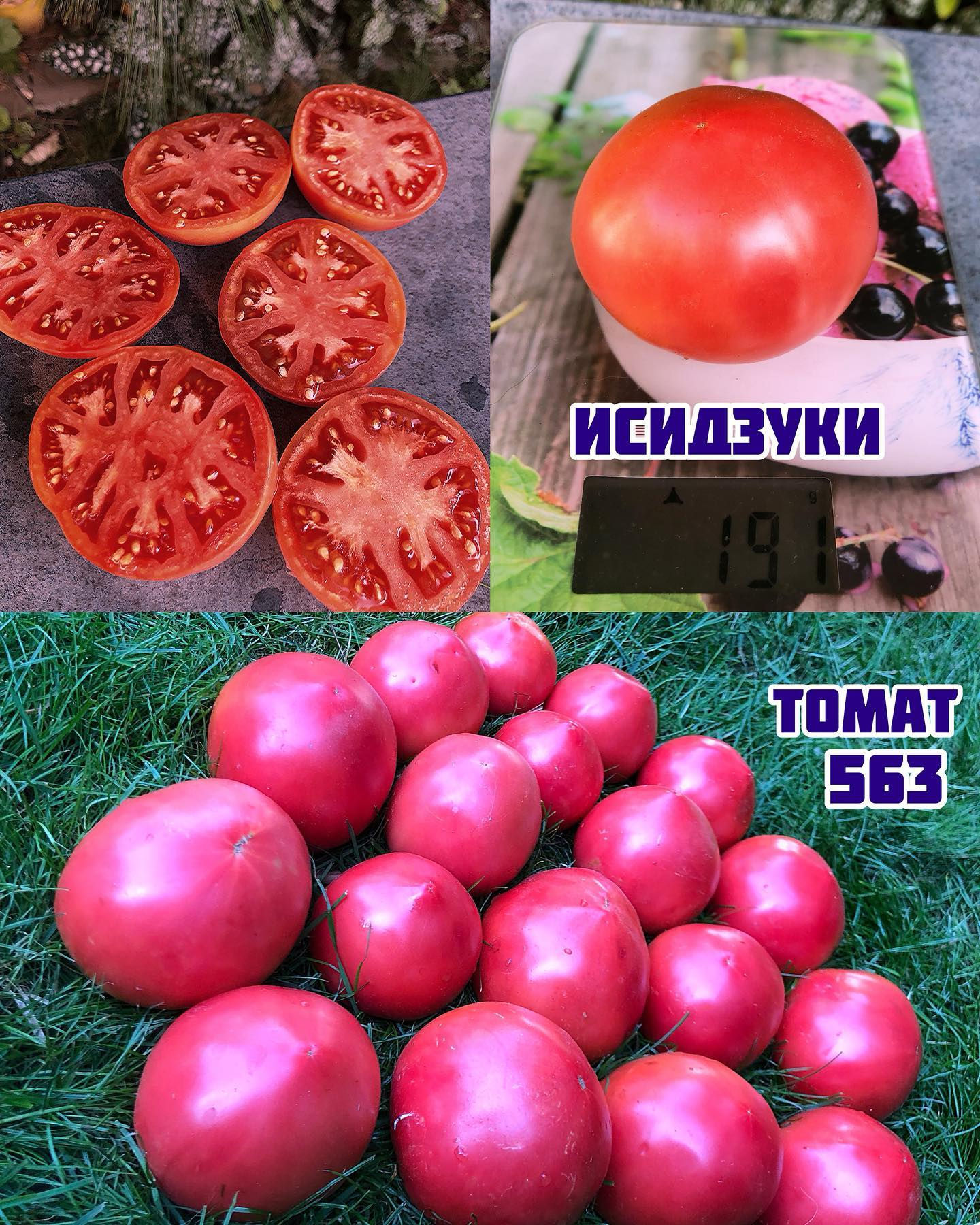 «Исидзуки»