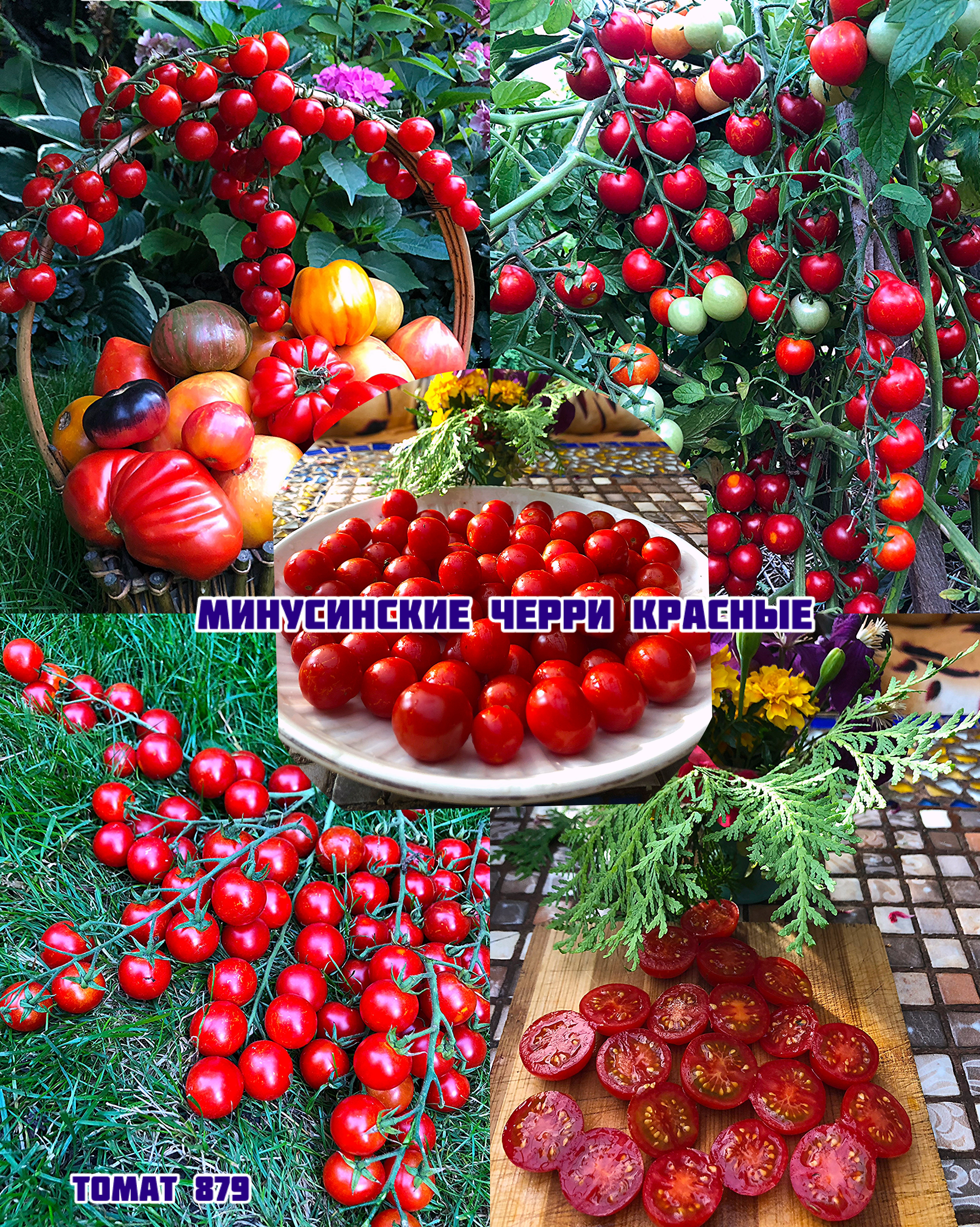 «Черри Минусинсков красное»