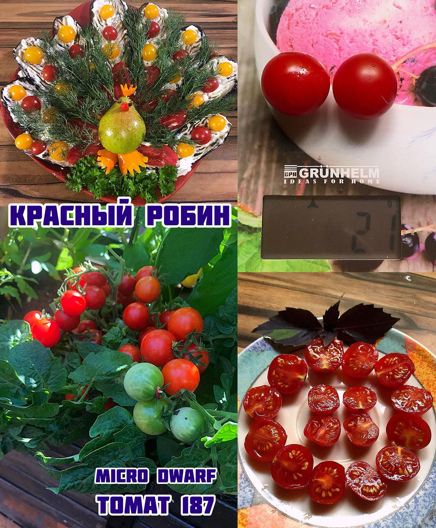 «Красный Робин»Red Robin Micro Dwarf