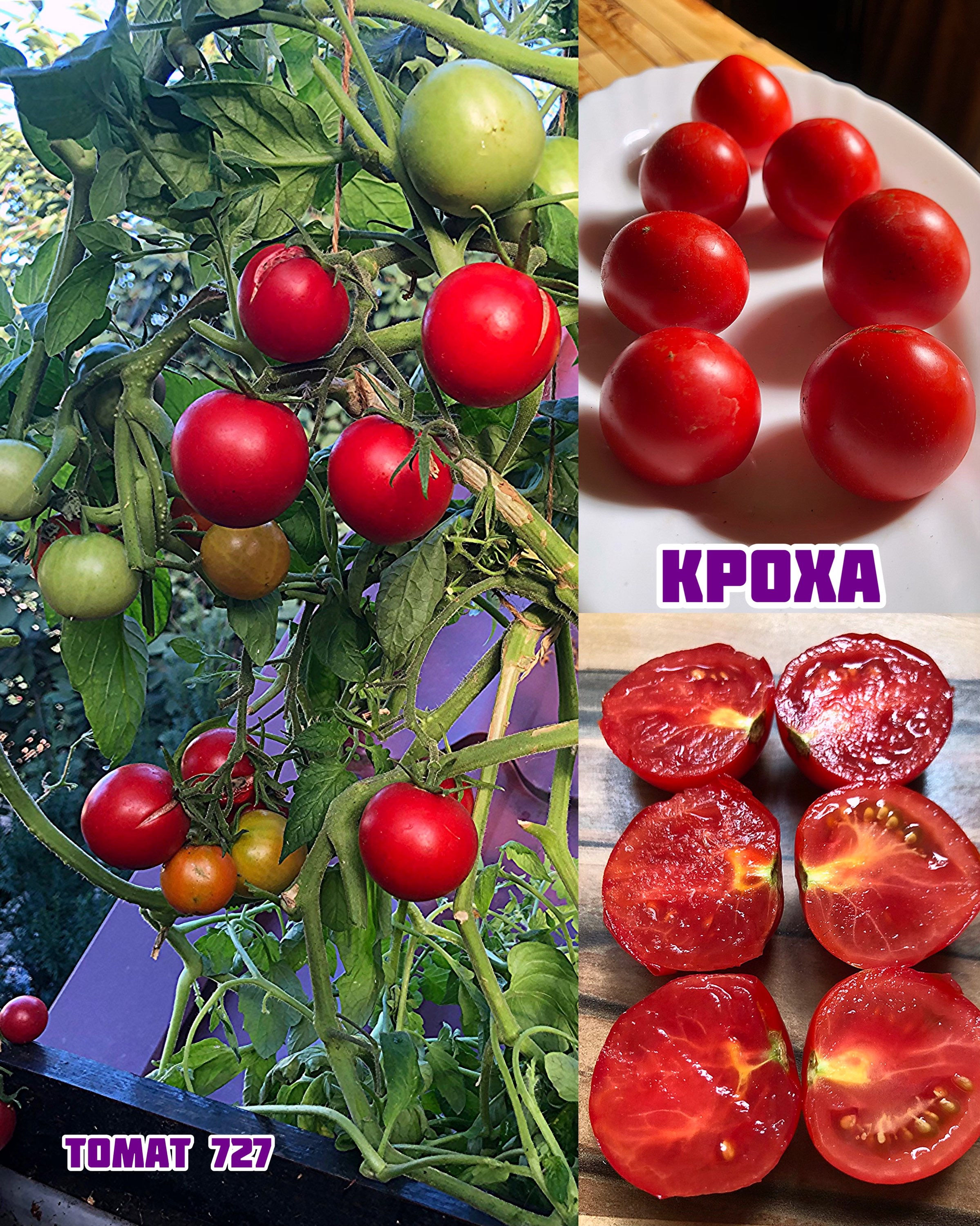 «Кроха»