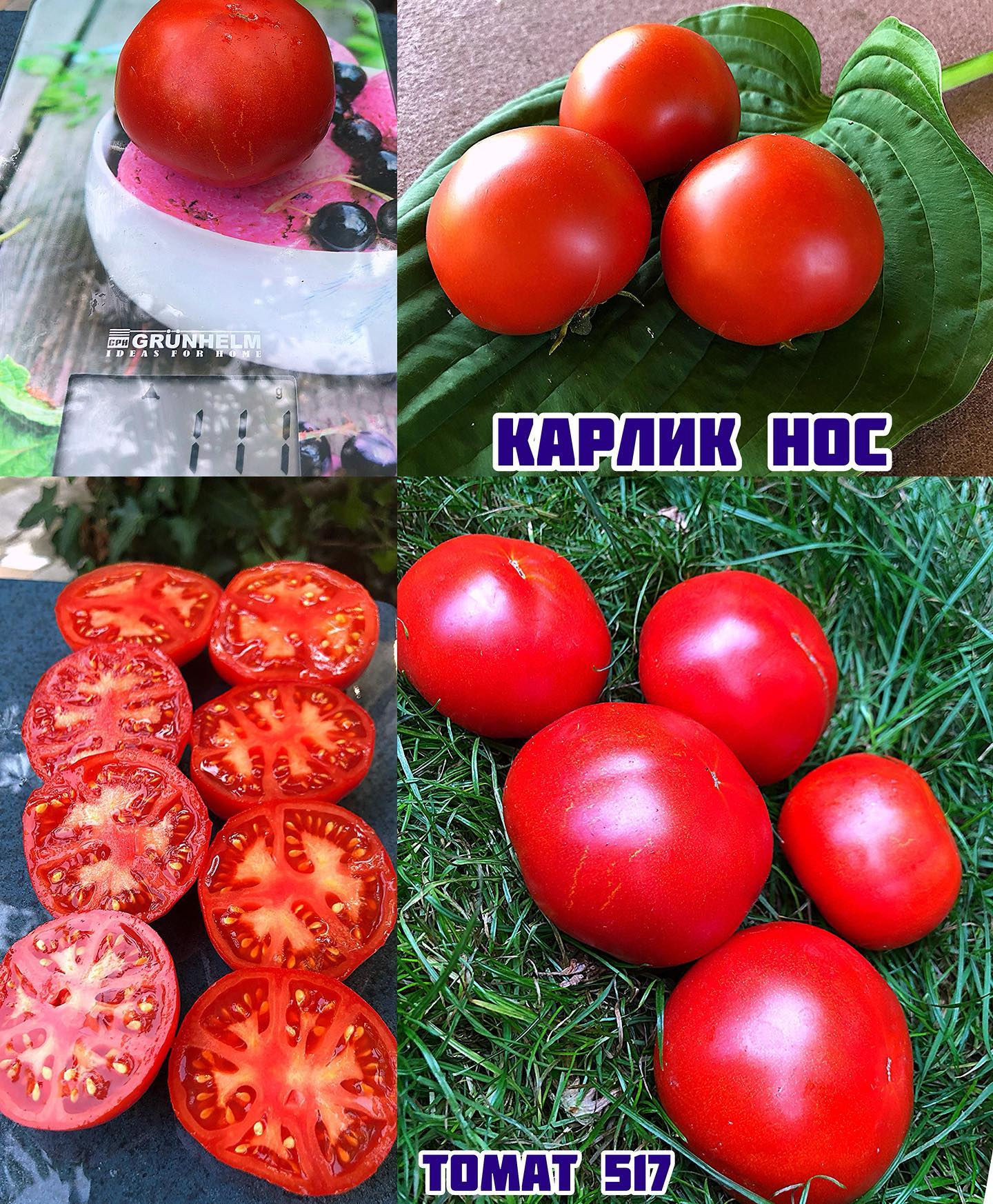 «Карлик Нос»