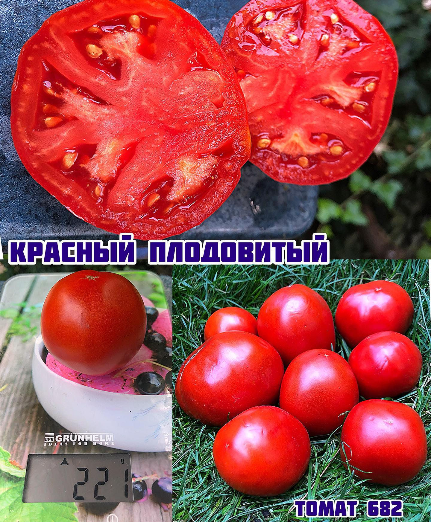 «Красный плодовитый»