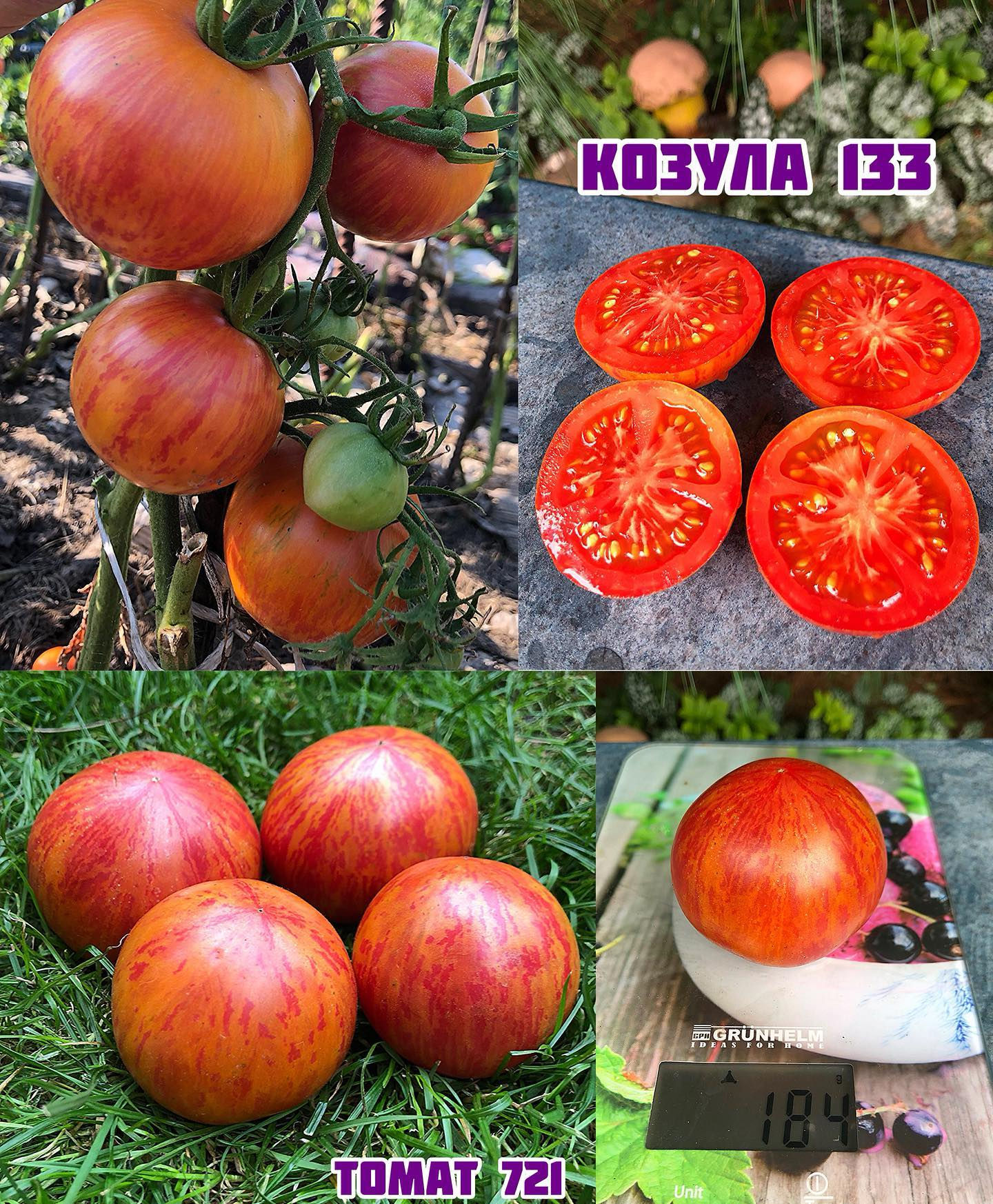 «Козула 133»Kozula 133
