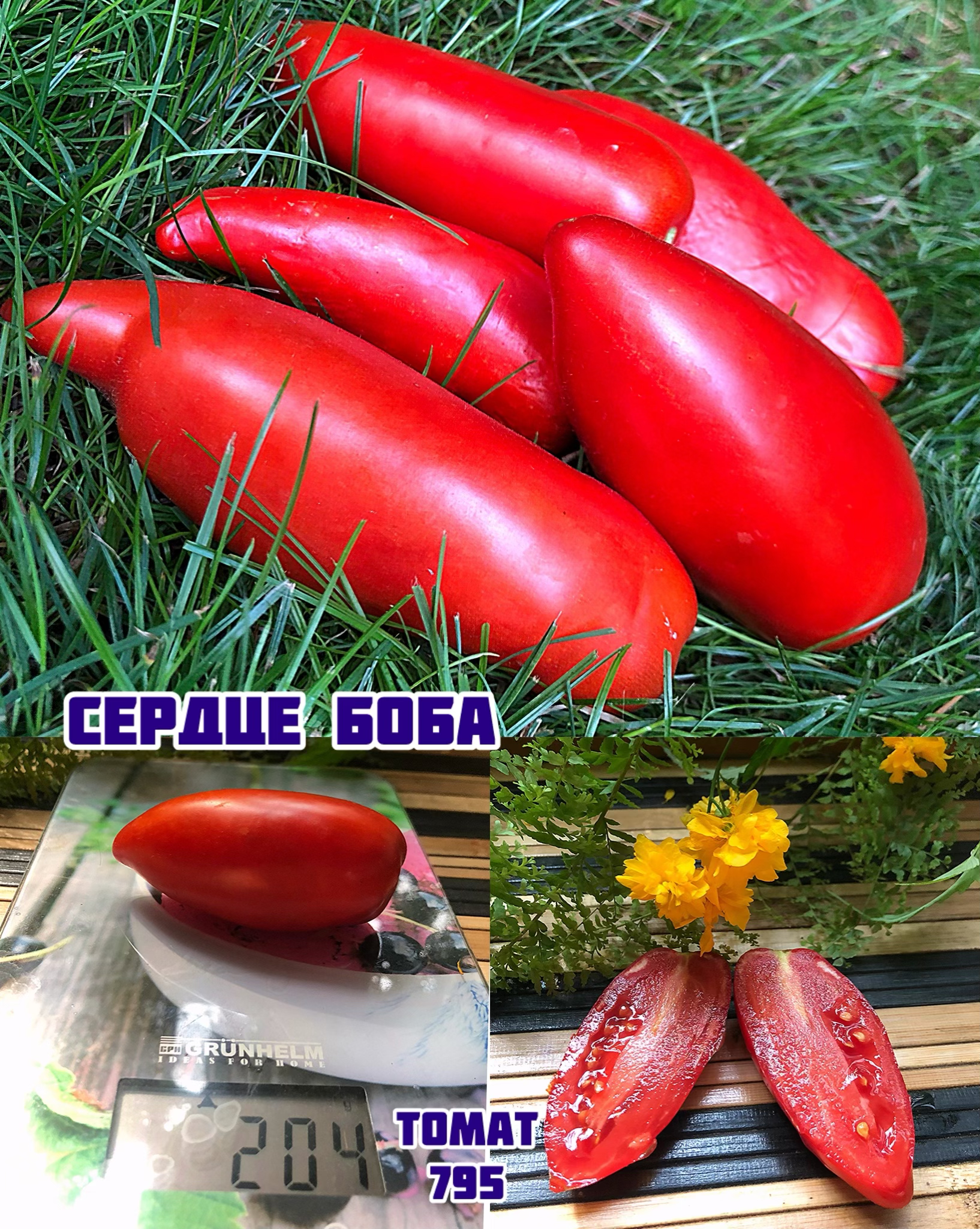 «Сердце Боба»Cuore de Bob
