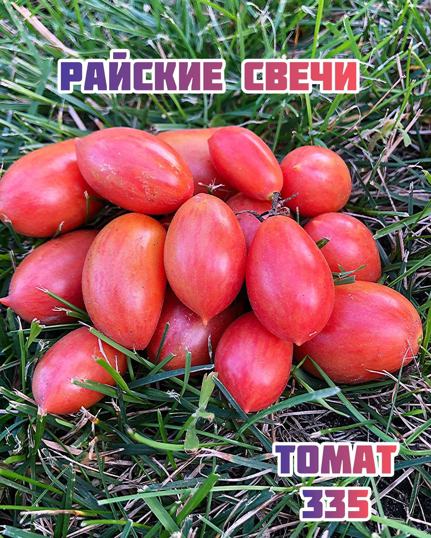 «Райские свечи»