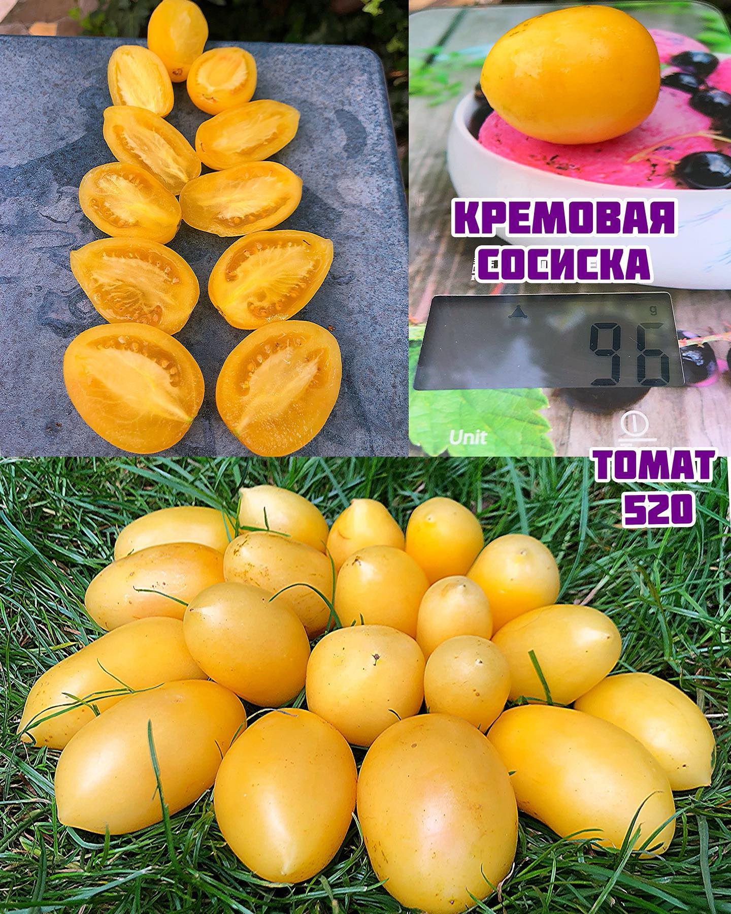«Кремовая сосиска»Cream Sausage