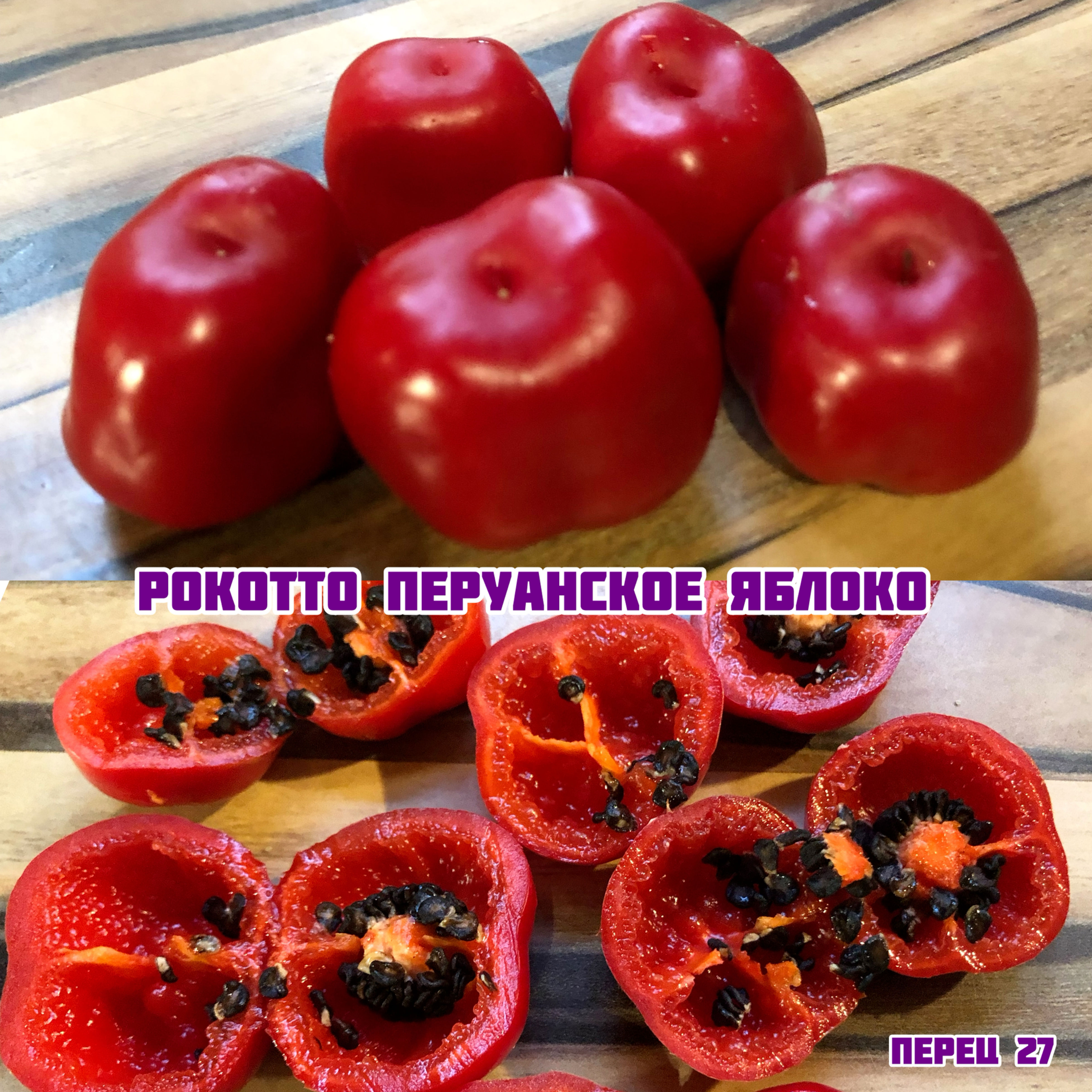 «Рокотто Перуанское яблоко»Capsicum pubescens