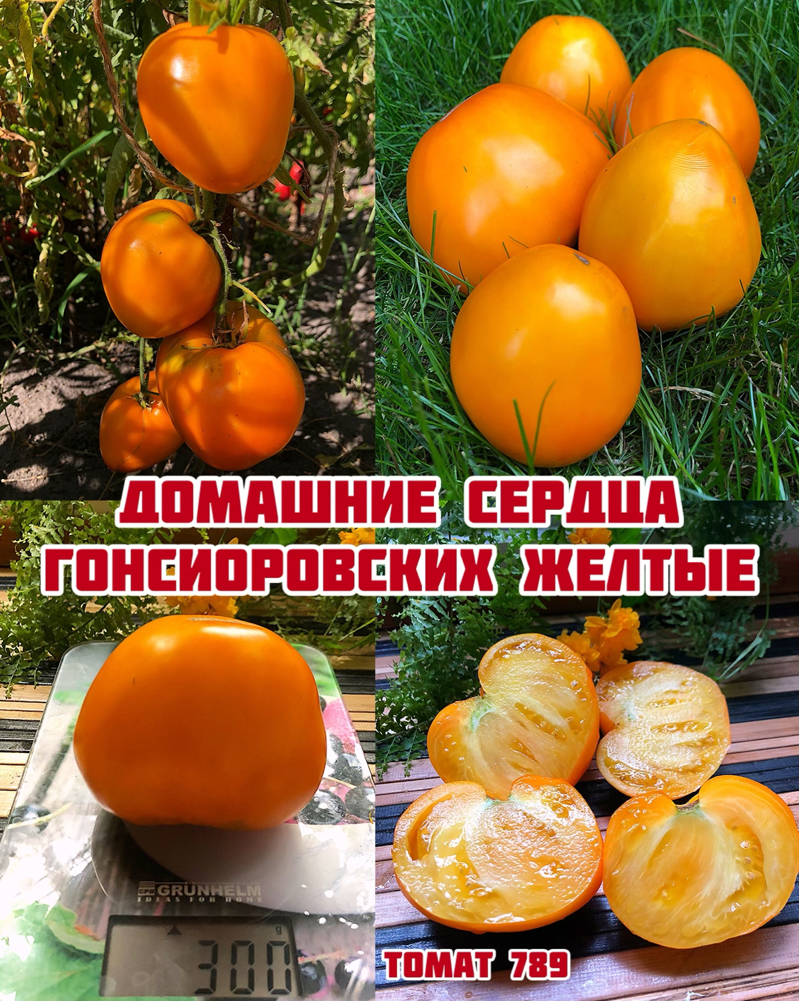 «Домашние сердца Гонсиоровских желтые»
