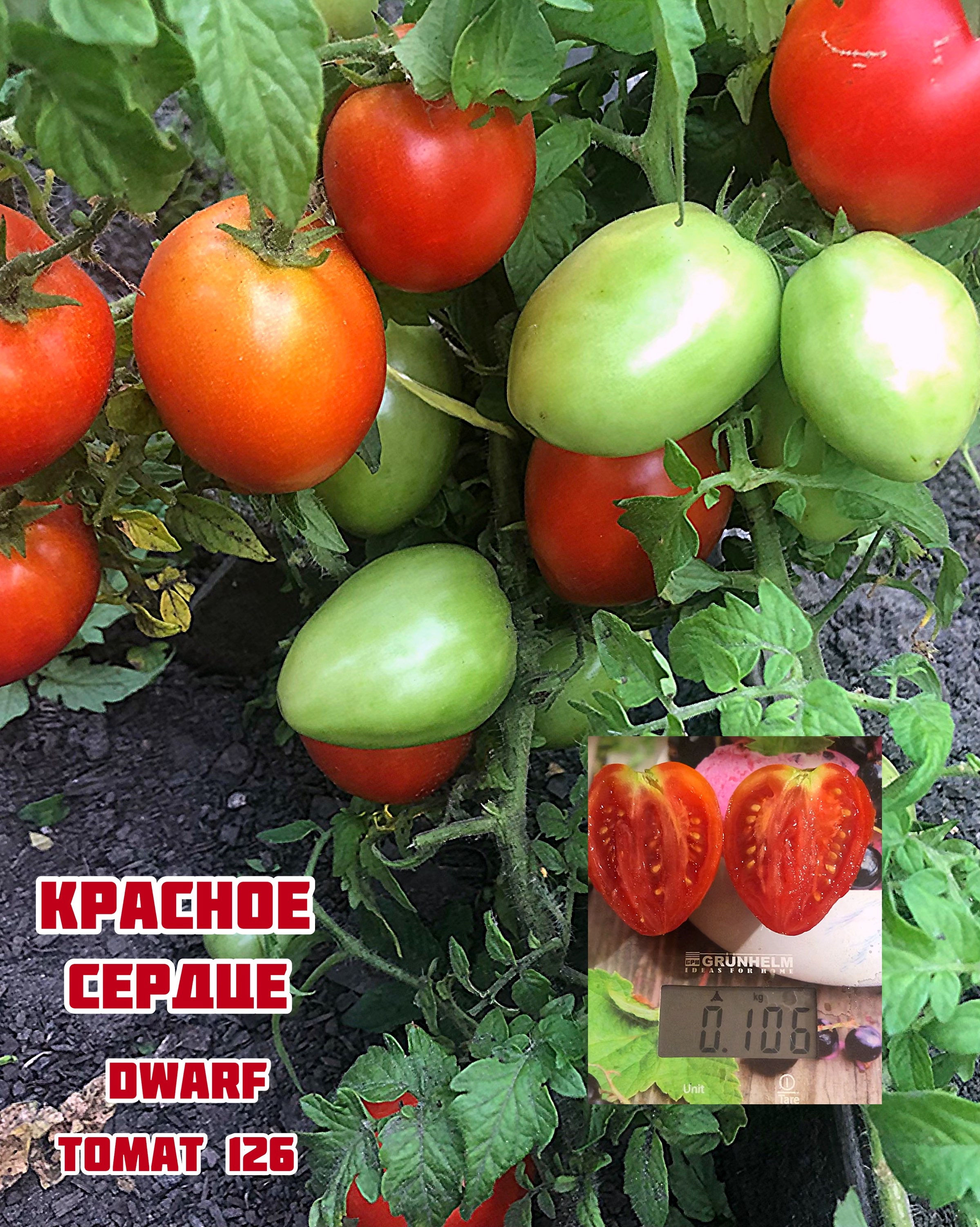 Томат«Красное сердце»Dwarf red heart