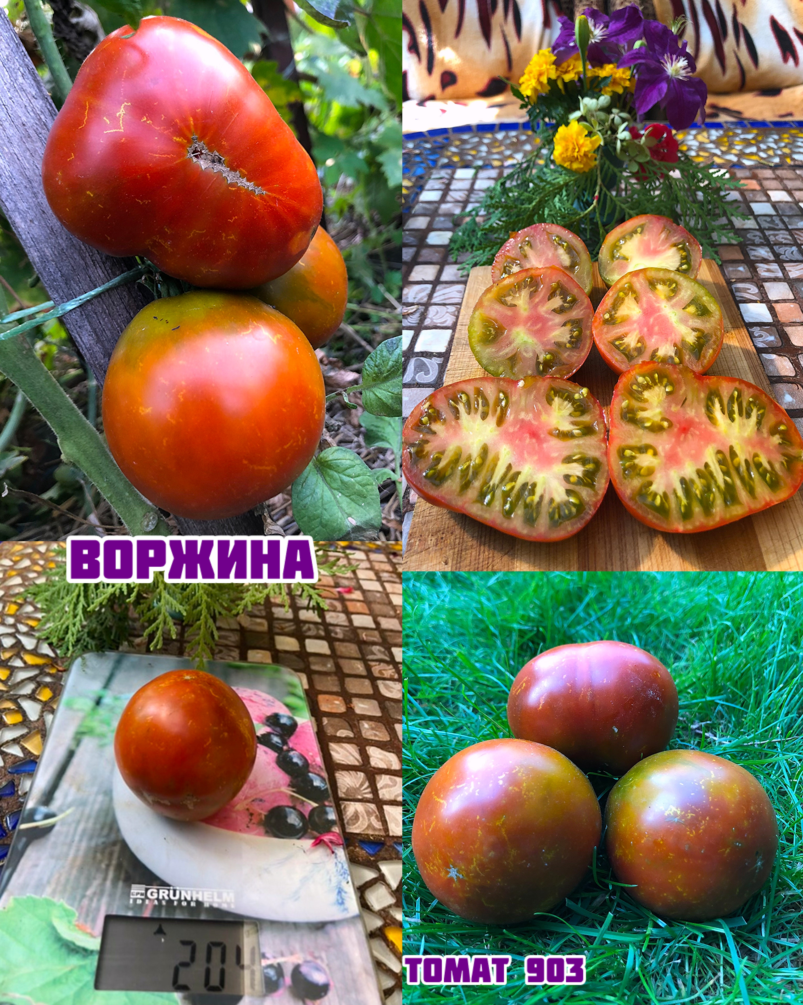«Воржина» Vorgienne