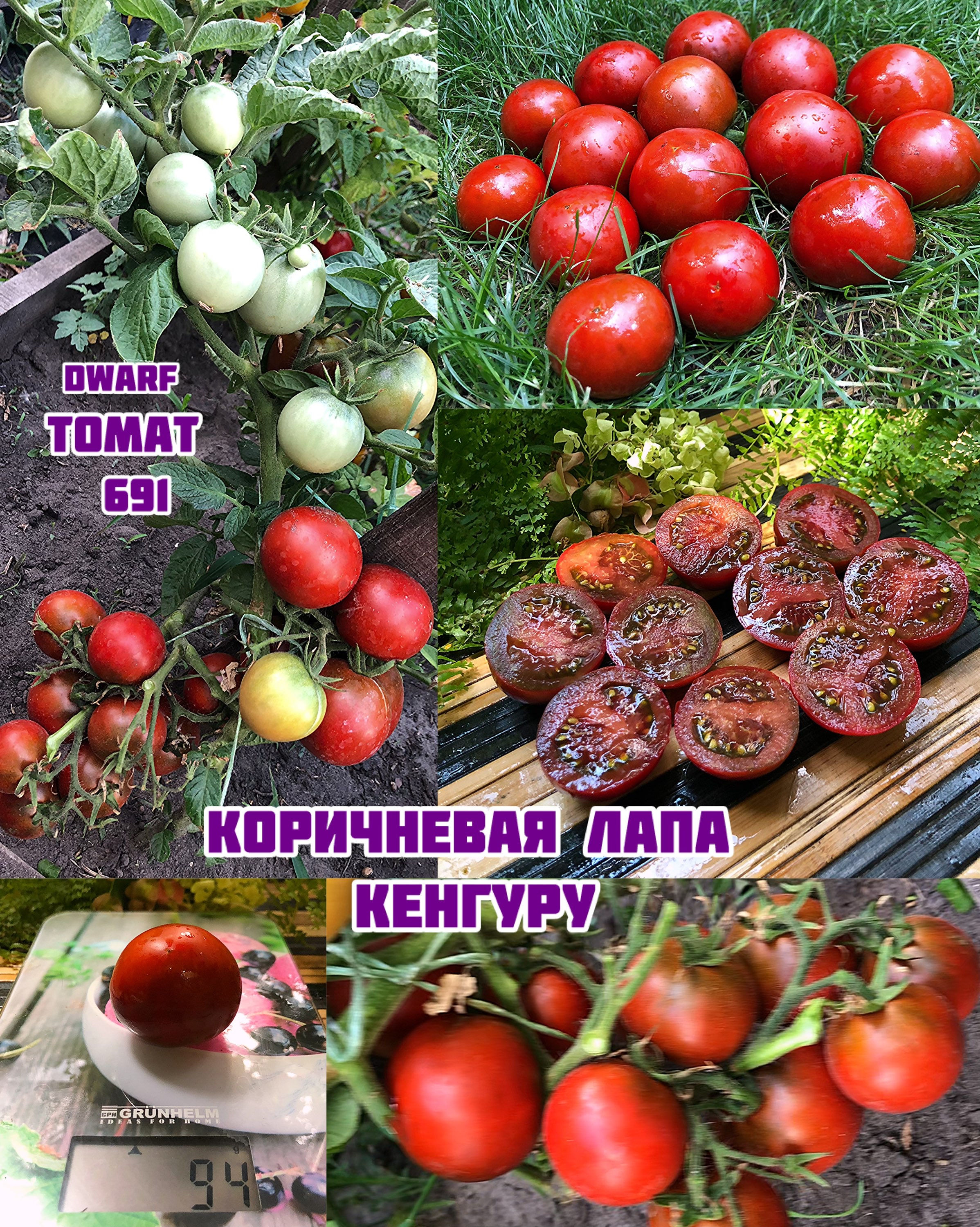 «Коричневая лапа кенгуру»Kangaroo Paw Brown