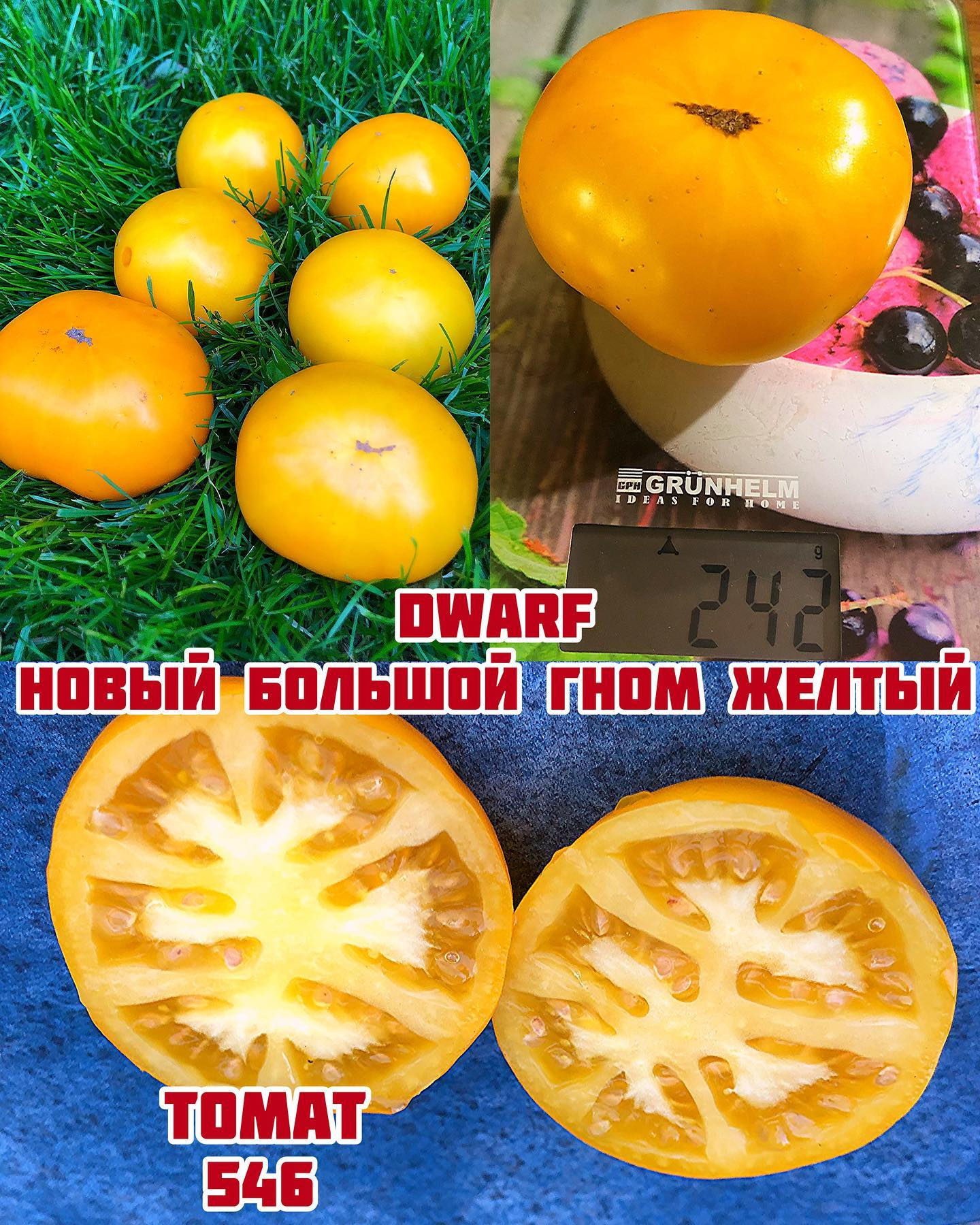 «Новый Большой Гном желтый»»New big dwarf yellow