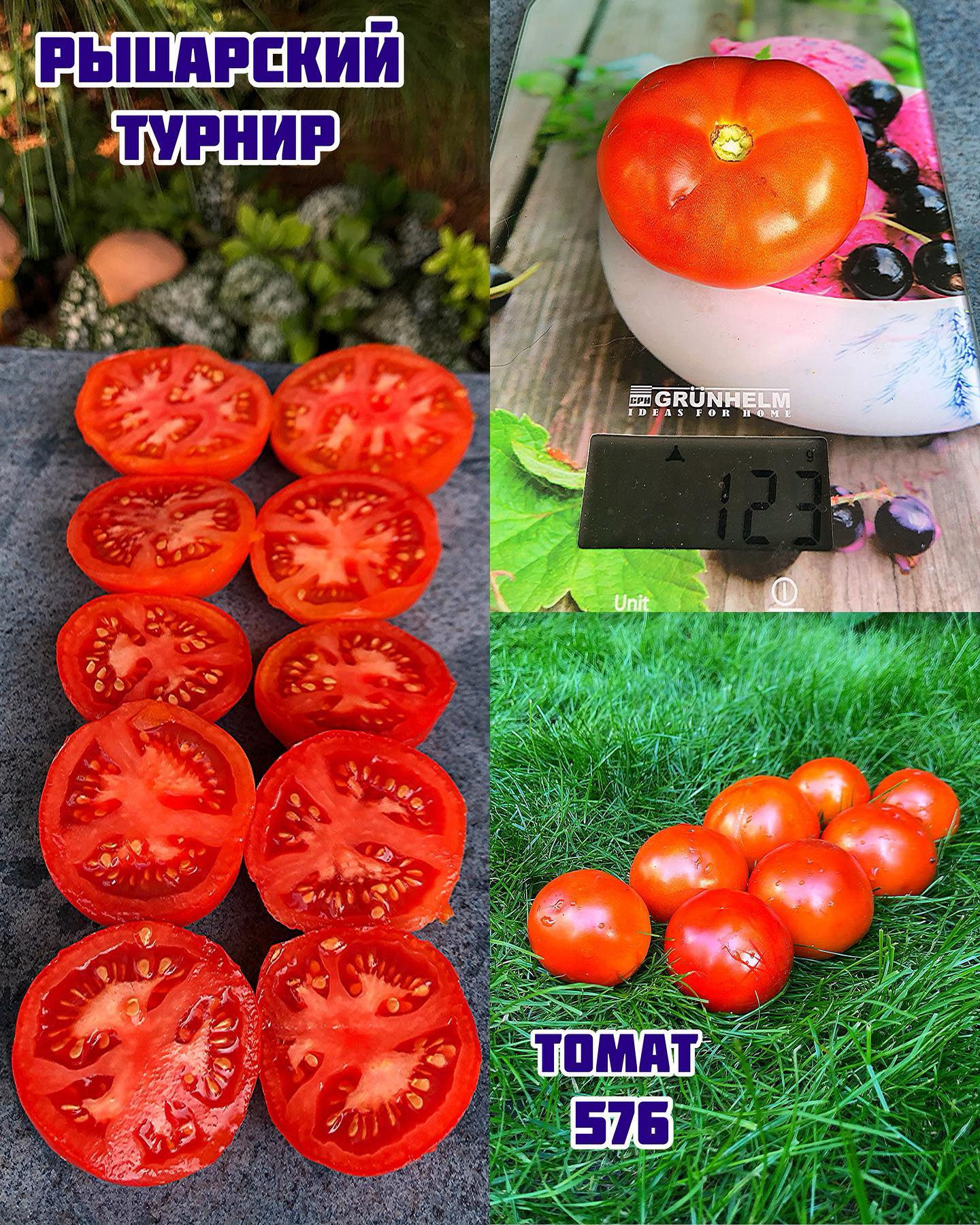 «Рыцарский турнир»