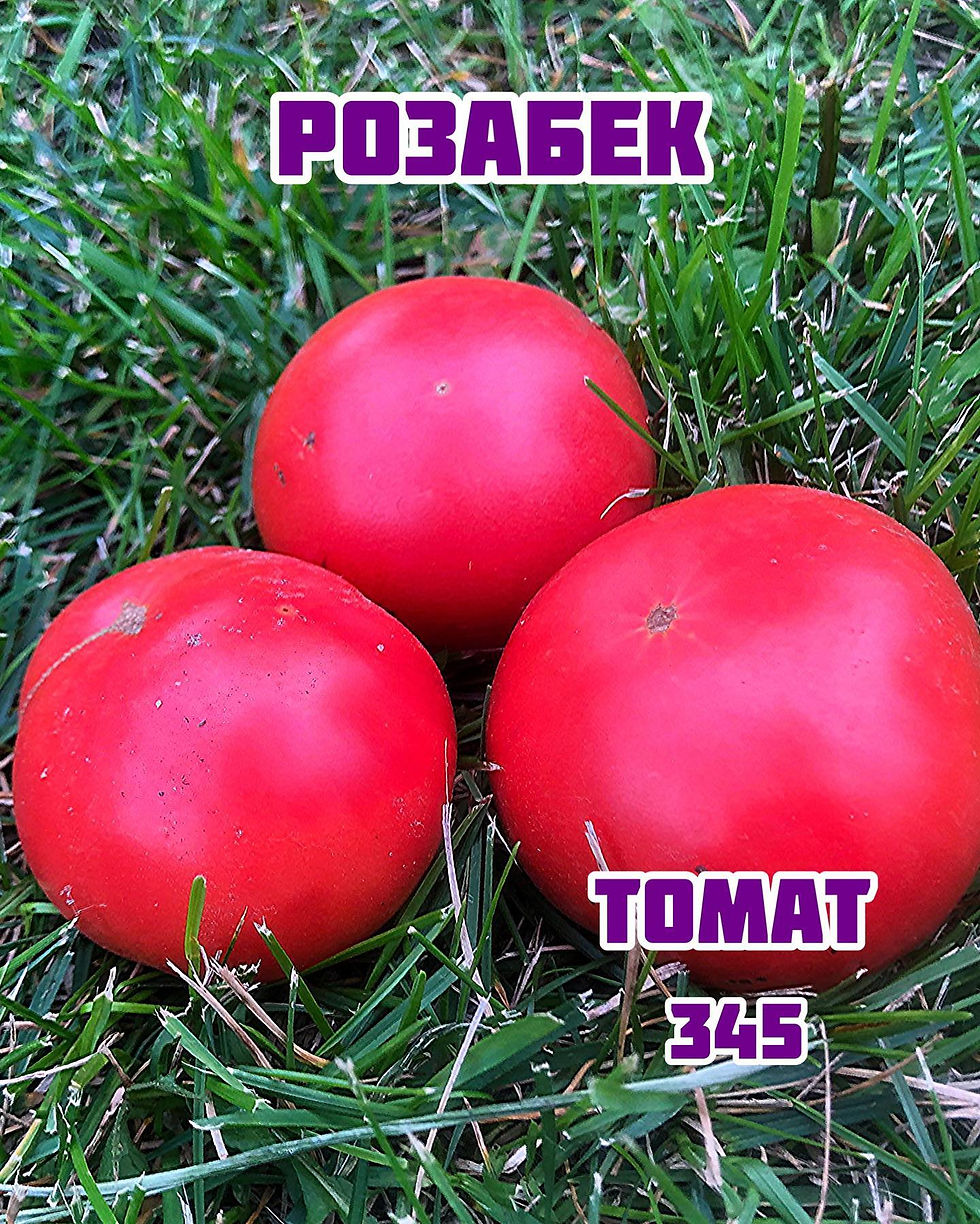 «Розабек»Rosabec