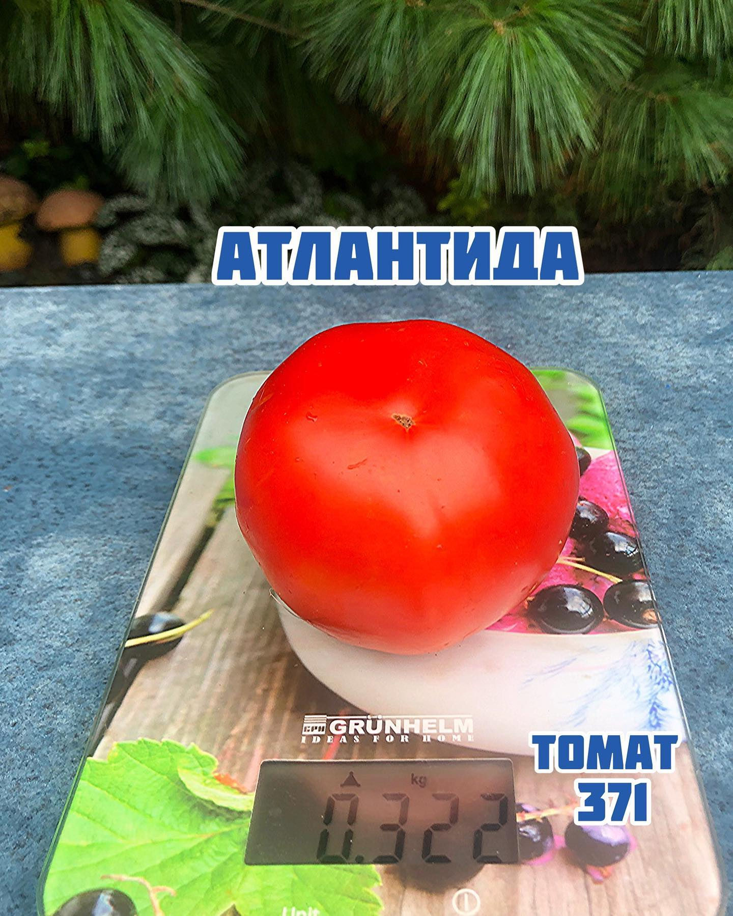 «Атлантида»
