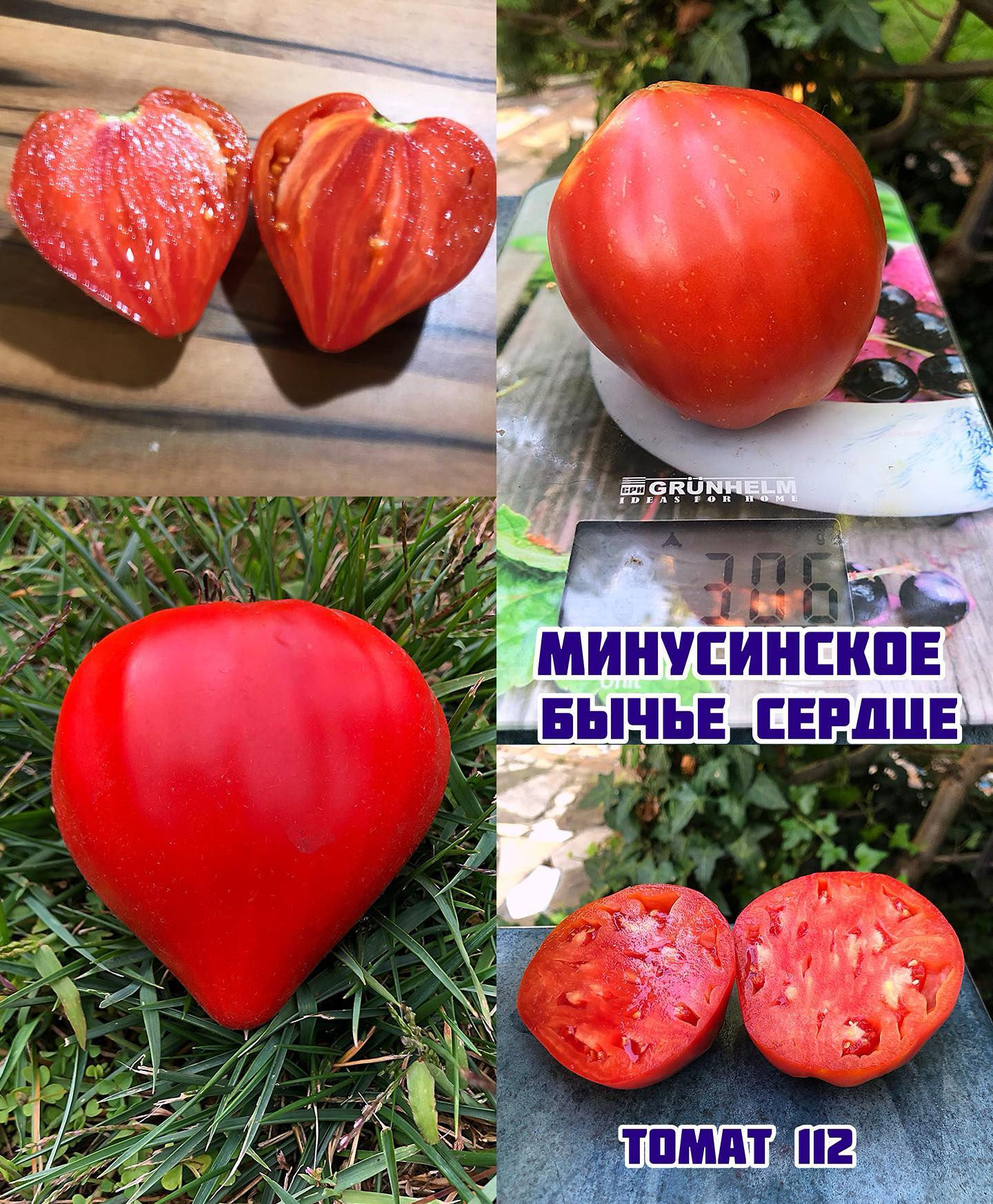 «Минусинское бычье сердце»