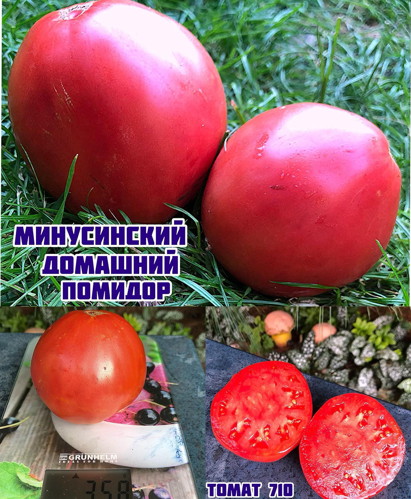 «Домашний Минусинский помидор»