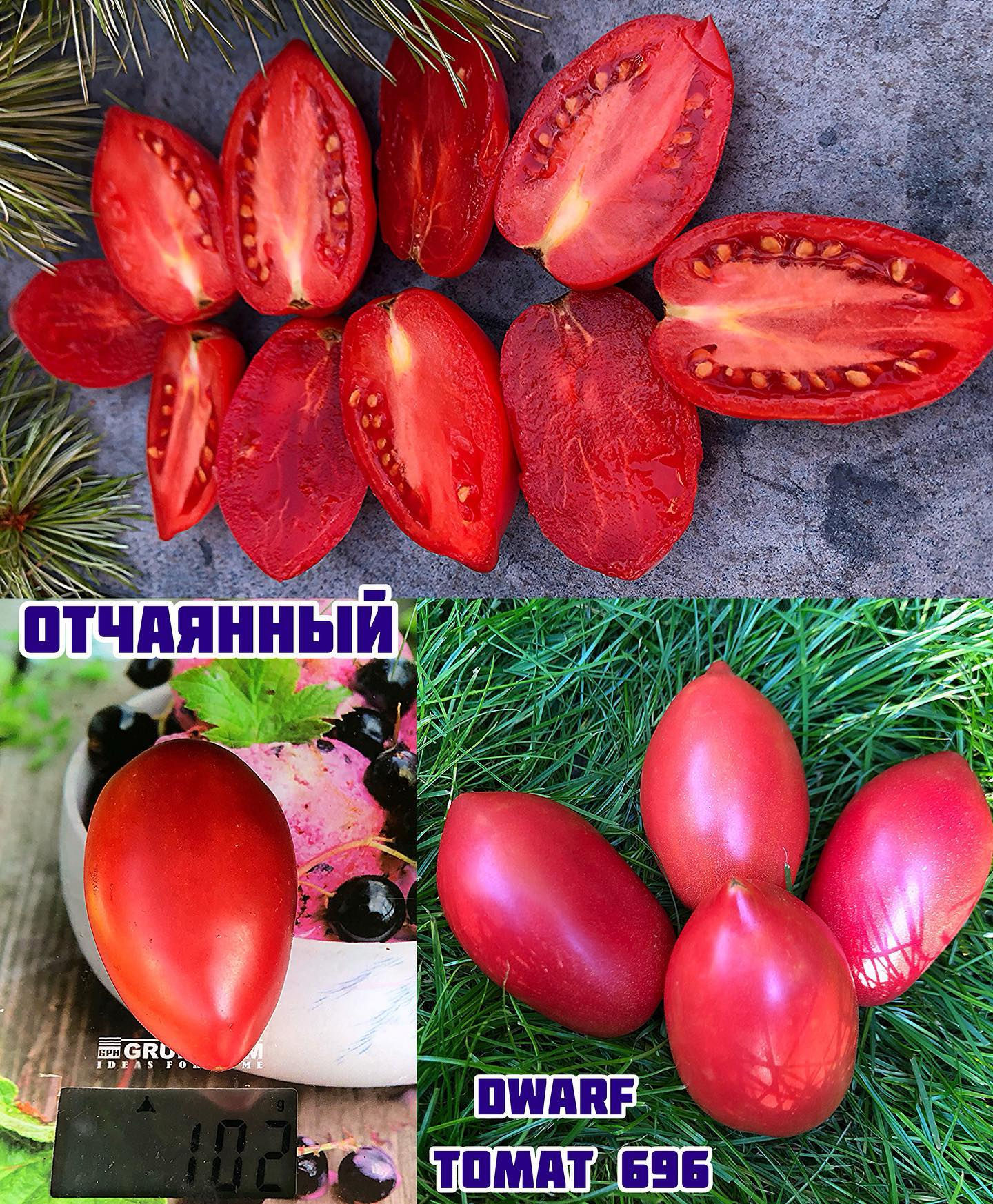 «Отчаянный»dwarf Desperado