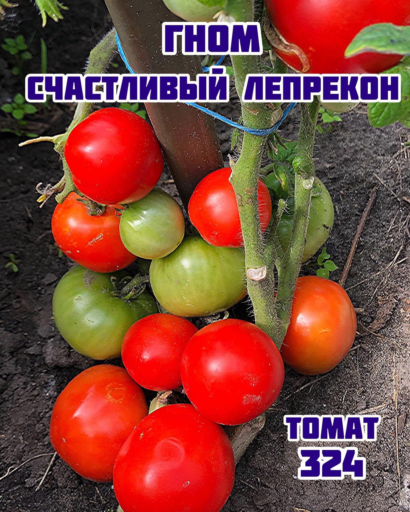 «Гном Счастливый Лепрекон»Dwarf Lucky Leprechaun