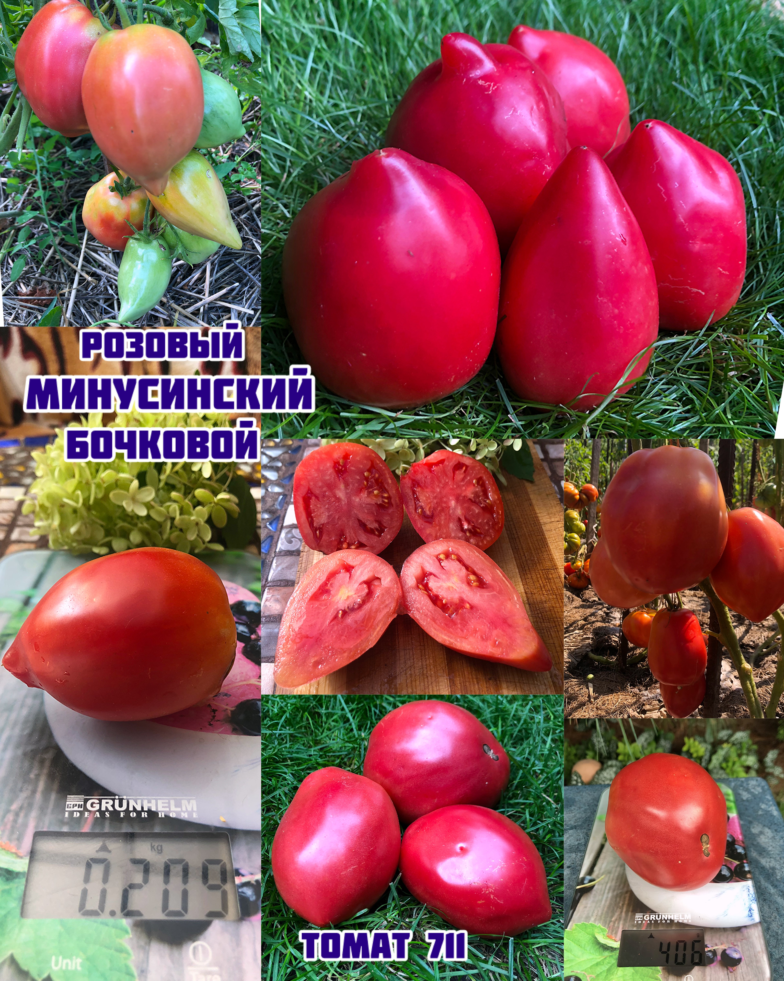 «Минусинский бочковой розовый»