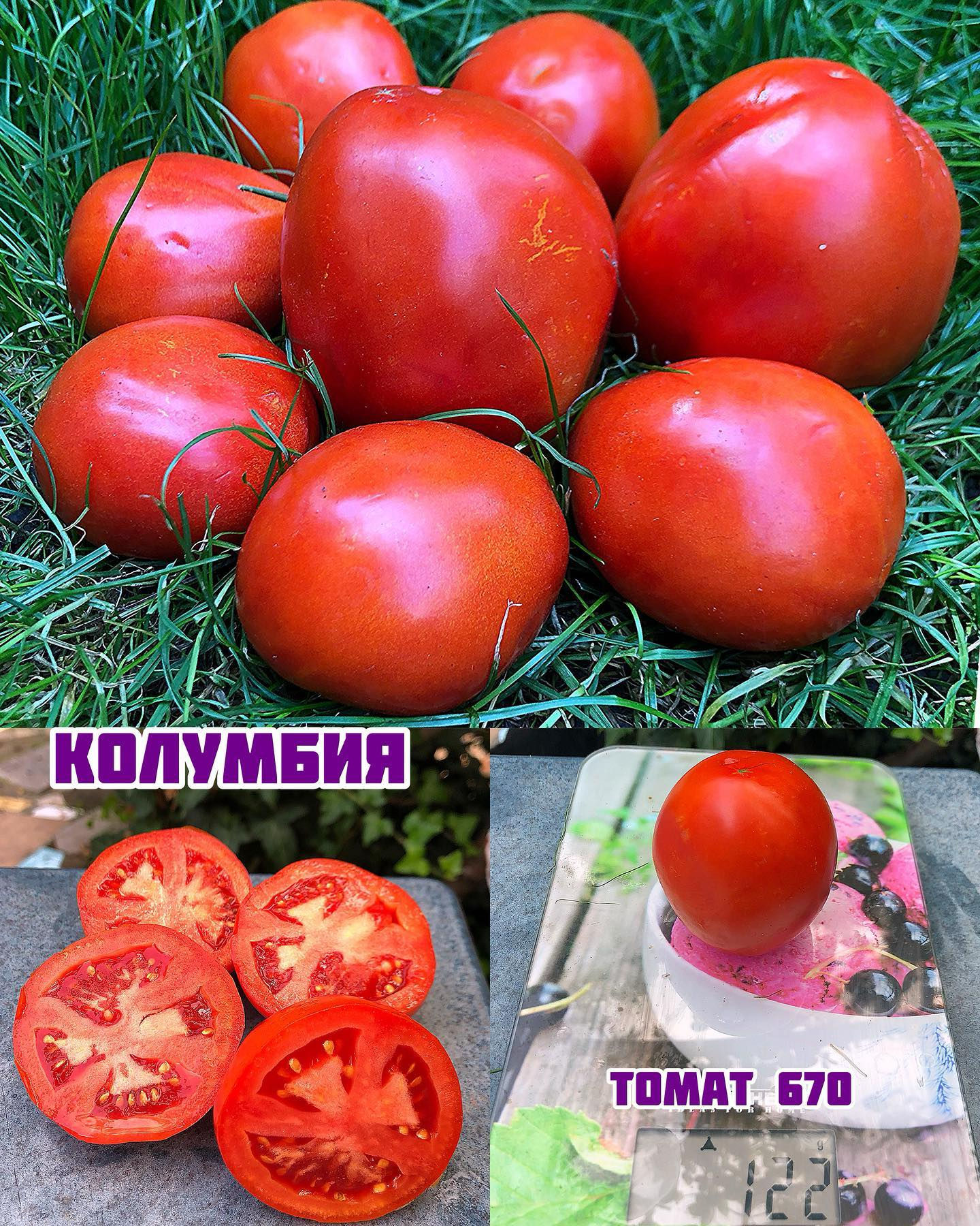 «Колумбия»Columbia