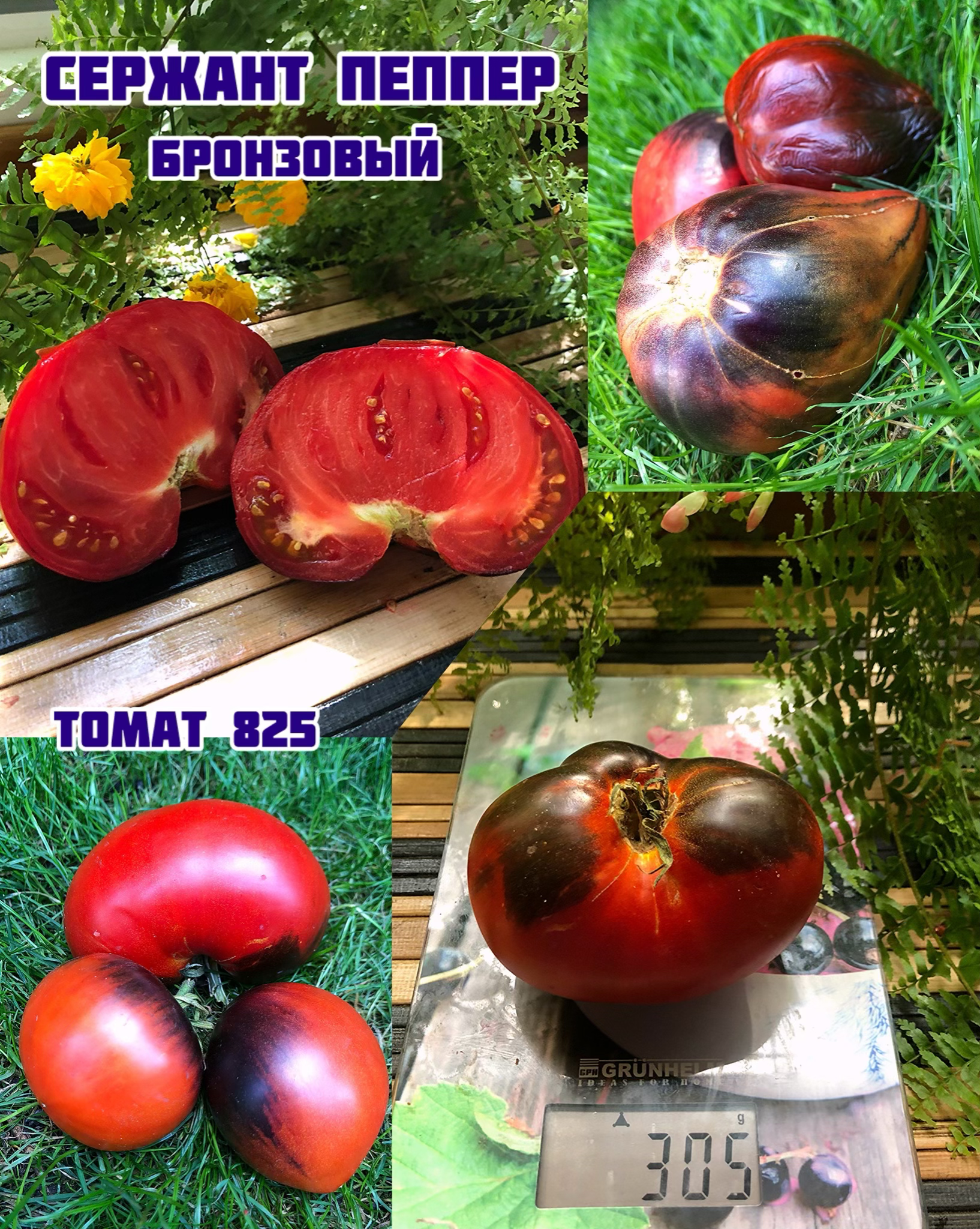 «Бронзовый Сержант Пеппер»Sergent Pepper's bronze