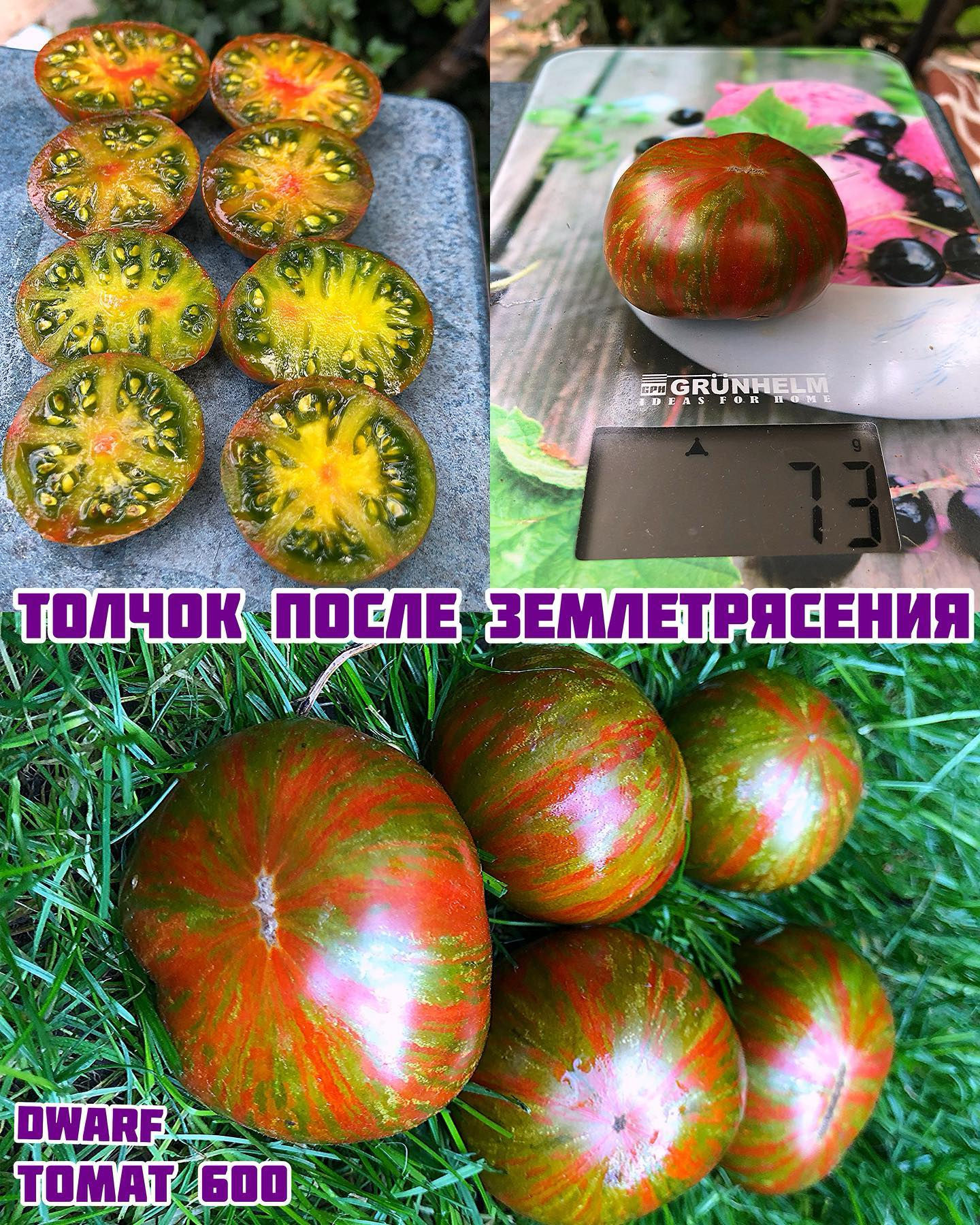 «Толчок после землетрясения»dwarf Aftershock