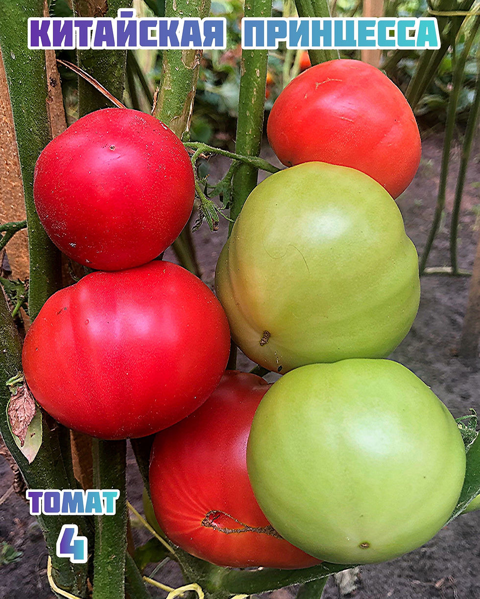 Томат «Китайская принцесса»