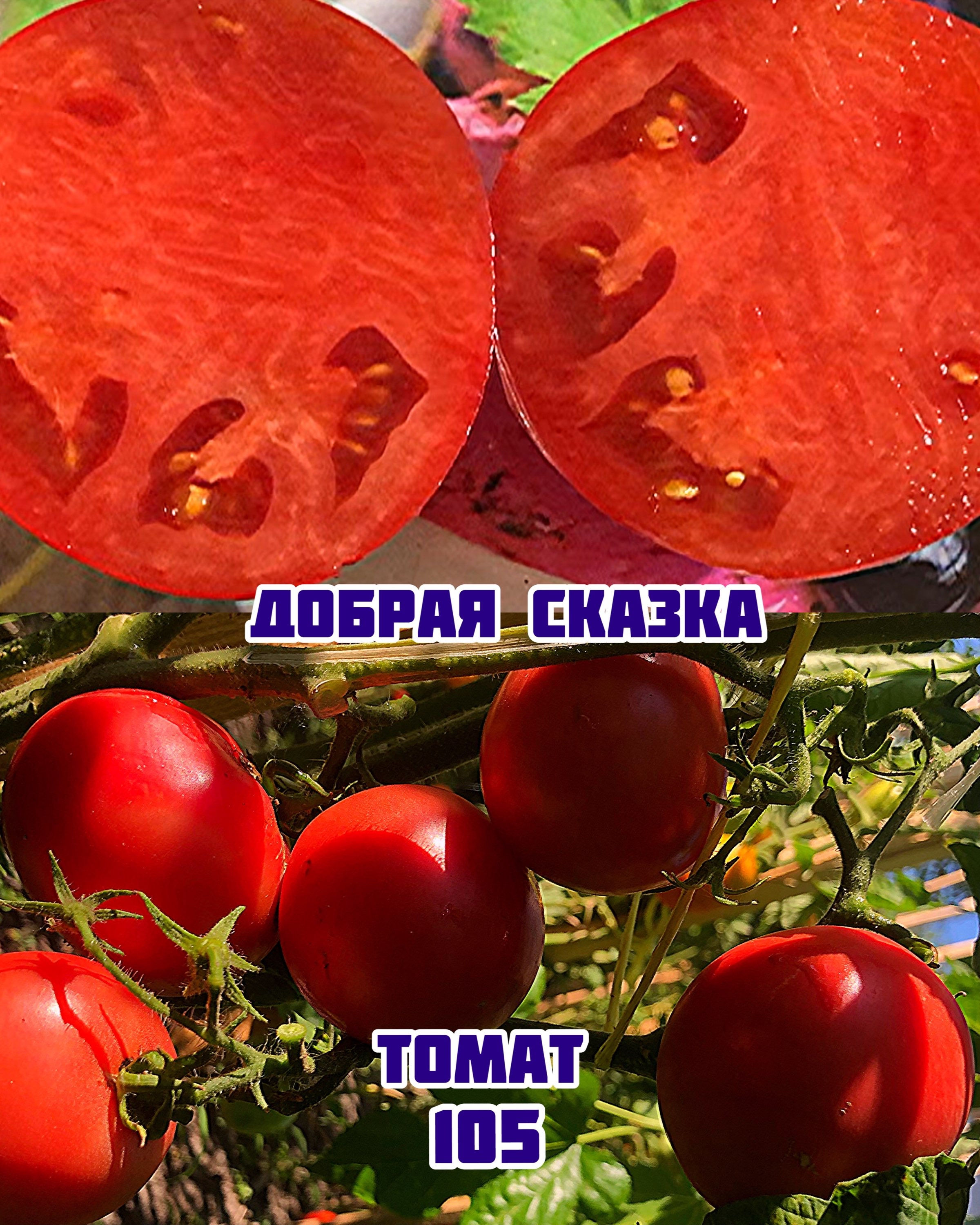 Томат«Добрая сказка»