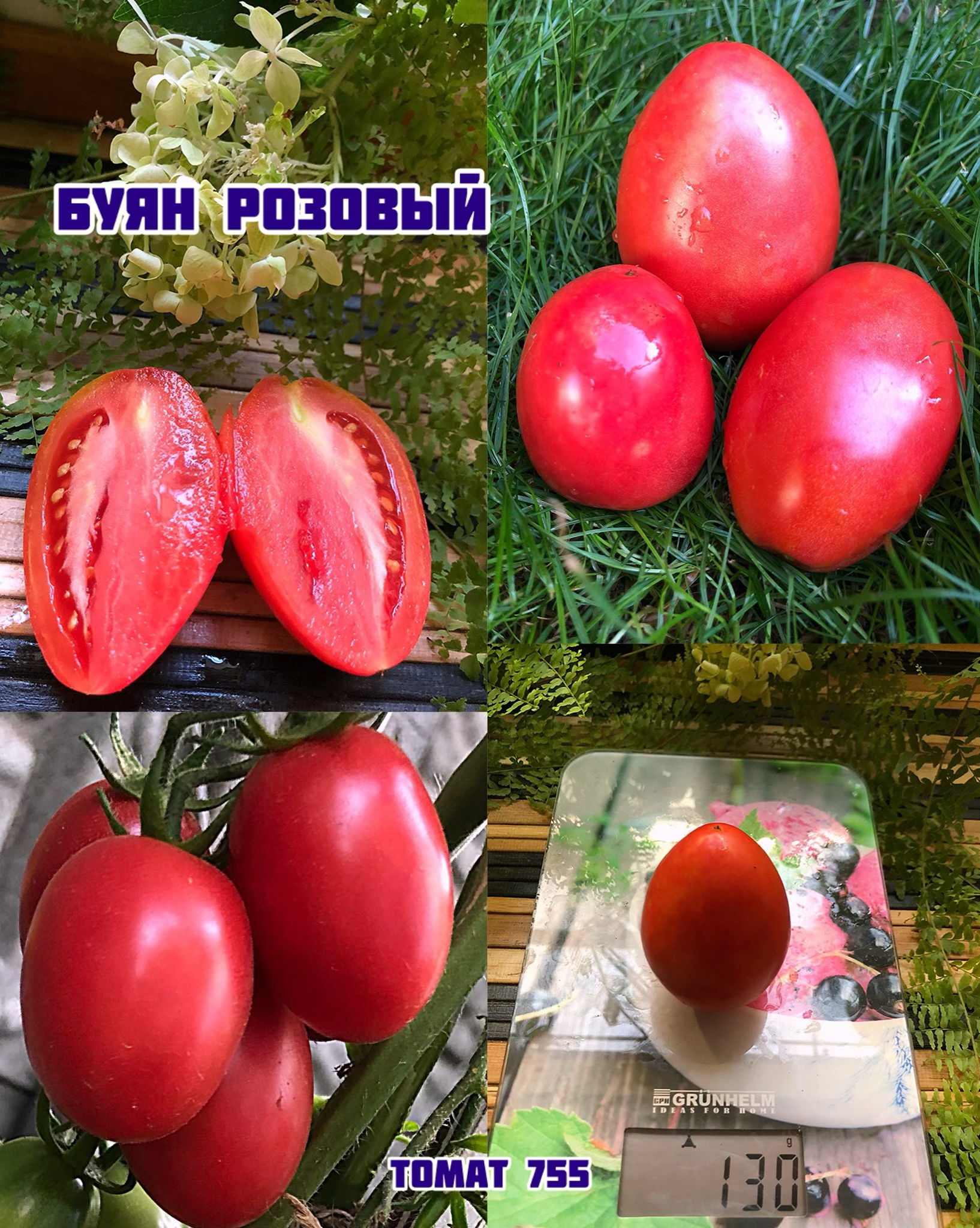 «Буян розовый»