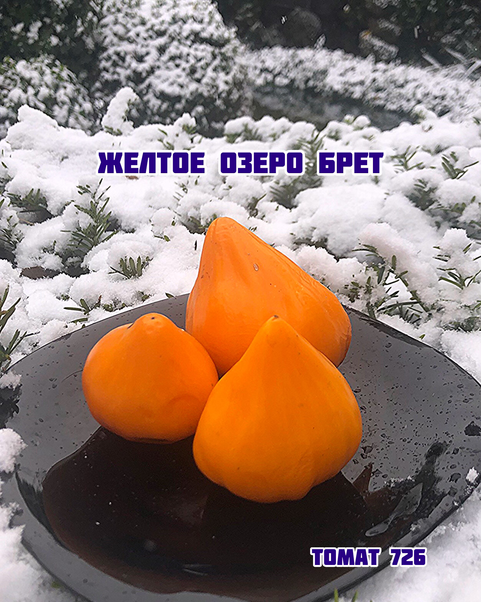 «Желтое озеро Брет»Jaune du lac de Bret
