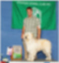 champion barbado da terceira dog at podium at dog show