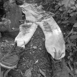 IMG_0923.jpeg