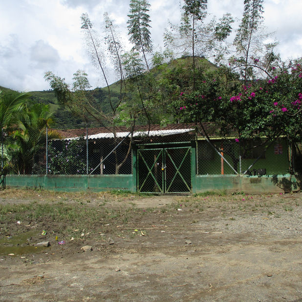 CR12_009_50.jpeg